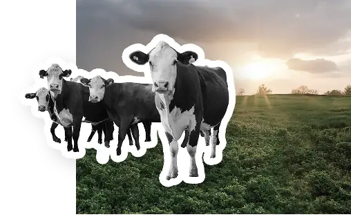 knowyouracres